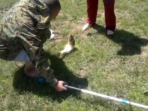 თევზაობა შაორზე.კობრი.tevzaoba shaorze kobri