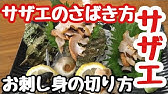 さざえ のさばき方 刺身用 Youtube