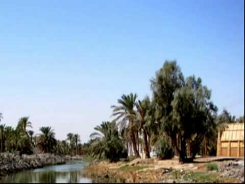 حسين نعمه هنا يمن جنه وجنت  