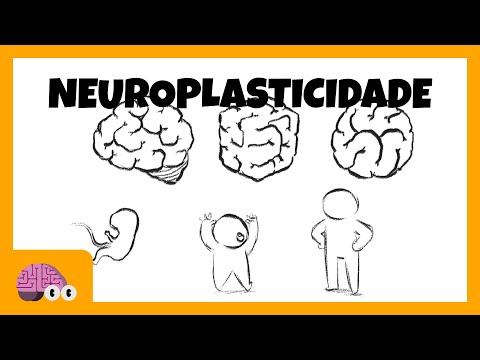 Vídeo: O Que é Neuroplasticidade