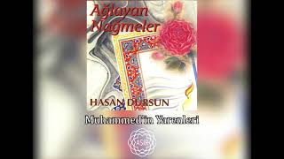 Hasan Dursun - Muhammed’in Yarenleri Resimi