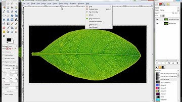 Alpha Mapping with Cycles - Part 1
