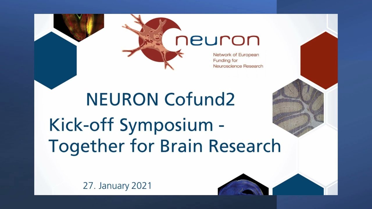 Priorities for brain research in neurology and psychiatry panel