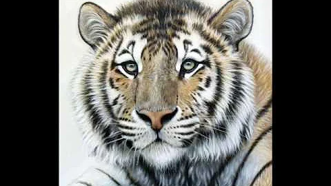 Art by Sandi Baker