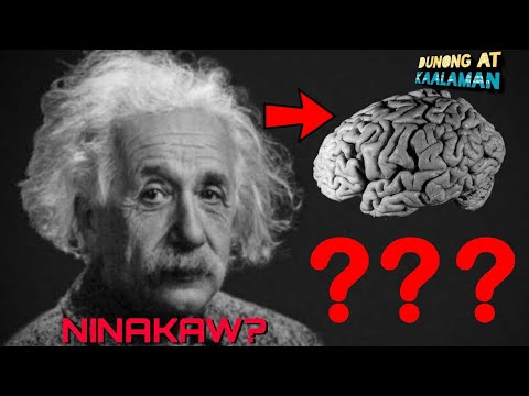 Utak ni Albert Einstein, ninakaw? | Dunong at Kaalaman