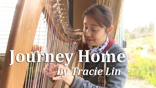 Journey Home - Original Composition (Double-Strung Harp 432hz) + Sheet Music