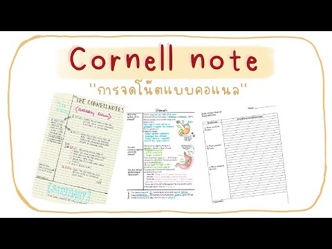 จดโน๊ตแบบคอแนล (Cornell note) เพิ่มประสิทธิภาพการเรียนรู้