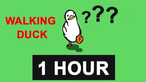 Duck Goes For A Walk 60 Minutes - Countdown Timer 1 hour  - walking duck - đồng hồ đếm ngượ