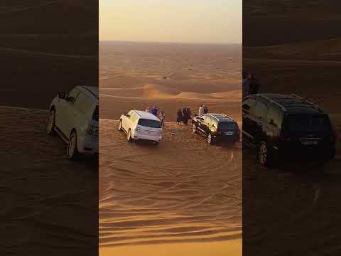 Dubai Desert Safari #dubai #desertsafari 2025