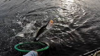 Non Stop Speckled Trout Action! Kayak Fishing Choctawhatchee Bay