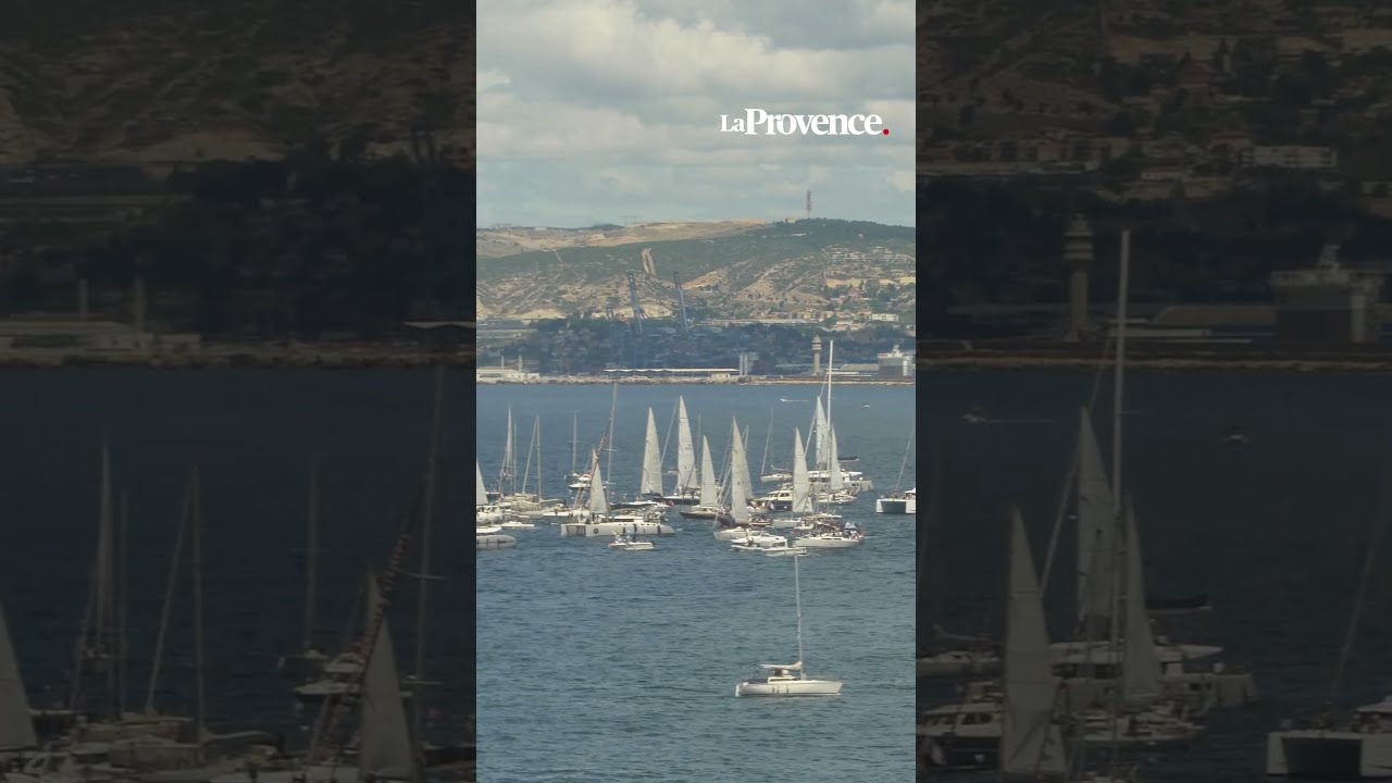 Le Belem et sa parade passent devant le Cercle des Nageurs