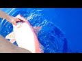A wonderful deep sea bottom fishing / Big Queen snapper