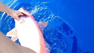 A wonderful deep sea bottom fishing for Queen Snapper or what we call in Hawaii ONAGA