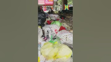 Đừng biến giải phân cách Vành đai 3 thành bãi rác | Tin tức