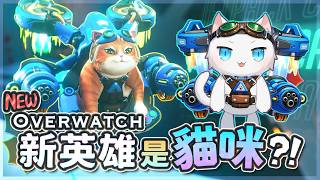 Overwatch鬥陣特攻新英雄火箭貓竟然真的只是隻貓? 貓咪本人來玩貓咪啦