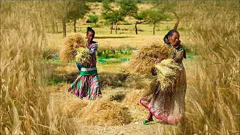 Hebrew Israelite Reading Of The Book Of Ruth In He...
