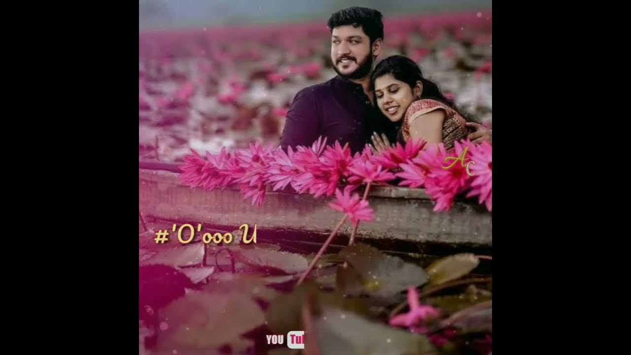 💞Para movie Trending (1080) HD status💞 YouTube Pullingo present