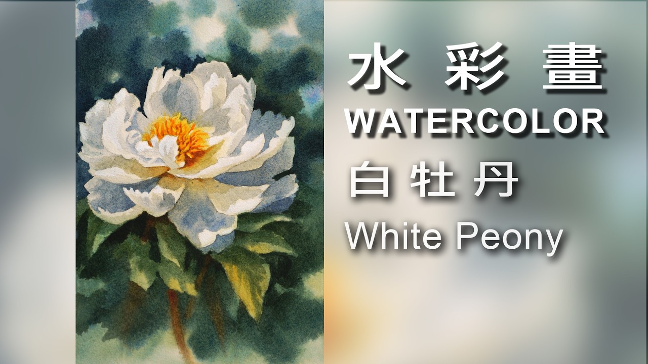 White Peony 白牡丹/ Watercolor / 水彩畫#Watercolor#draw#art