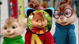 Alvin Music - Bu Muhabbat Tarixi #alvinmusik #alvinproduction #musicalvines  #music #alvin #muhabbat