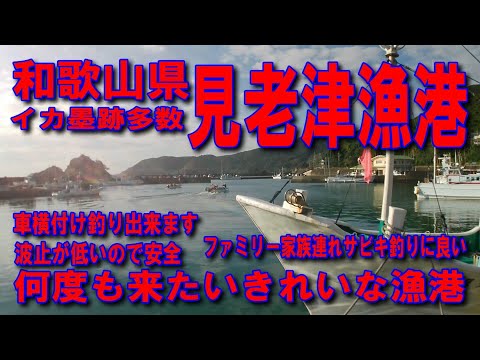 #133和歌山県見老津漁港何度も来たいきれいな漁港森と海と入江素敵な道ファミリー家族連れサビキ釣り良車横付け釣り出来ます波止低いので安全イカ墨跡多数ゆるやかに過ごす日々紀州釣りに最適チヌヘダイが釣れる