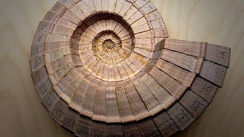 Scroll Saw Shells - Ammonite 1