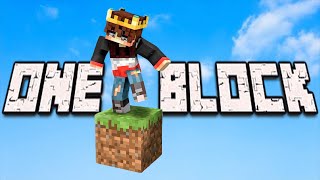Minecraft But There's Only One Block