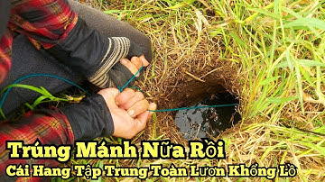 Câu lươn khủng_Cái hang này tập trung toàn lươn khổng lồ_Trúng mánh nữa_tập674//Giant eel fishing