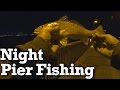 Beginner Pier Fishing at Night! - Saltwater Pier Fishing