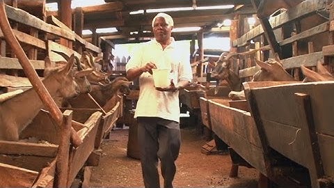 Transforming Agriculture for Improved Livelihoods in Eastern Africa
