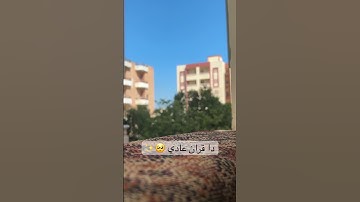 🥺✨ #التلاوات #ناصر_القطامي #قران #اكسبلور #اعتني #دويتو #ولده #الطبيعة #اولادك #لايك