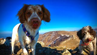 Hiking With Dogs On A Sunny Day | Spirova Koliba and Crn Kamen Peak