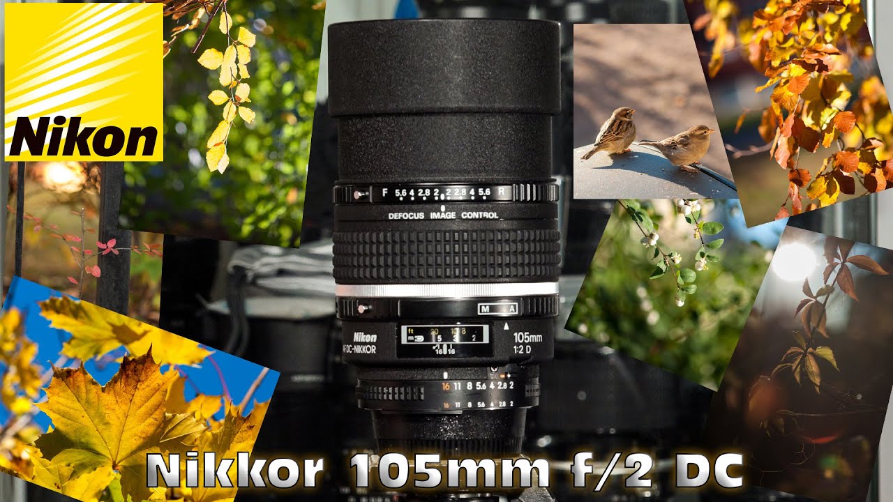 Nikon 105mm F2 DC - IS IT SHARP? - YouTube
