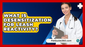 What Is Desensitization For Leash Reactivity? - PetGuide360.com