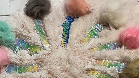 DYI CARDSTOCK KEYCHAINS| CRICUT TUTORIAL 