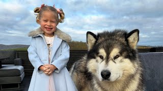 Adorable Little Girl Teaches Her Dog To Escape! (So Cheeky!!) by Life with Malamutes 391,728 views 13 days ago 4 minutes, 11 seconds