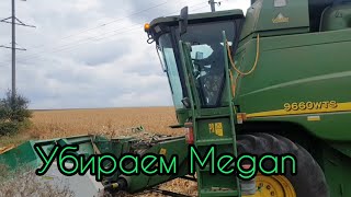 Уборка кукурузы Меган