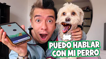 ¿Cómo hablo con mi perro?