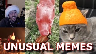 AceOFSpades Reacts To Unusual Memes v88-89