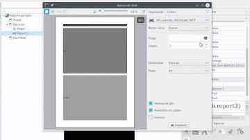 Gambas Report First Steps 1