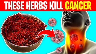 8 Powerful Herbs That Prevent And Kill Cancer