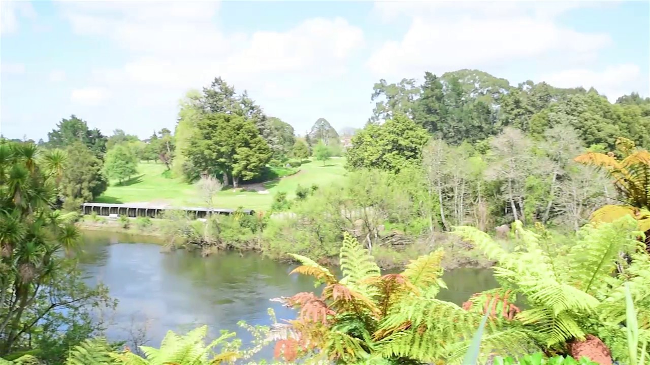 923 River Road, Queenwood, Hamilton, NZ