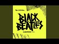 Miniature de la vidéo de la chanson Black Beatles (Madsonik Remix)