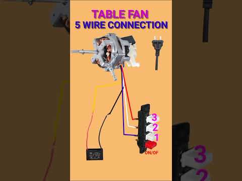 #table fan 5