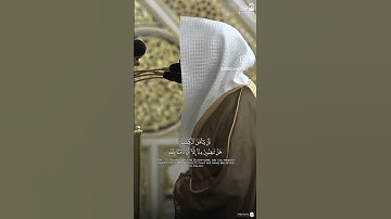 تلاوة خاشعة من سورة المائدة #عبدالله_القرافي #اكسبلور #قرآن #المصحف #تيك_توك