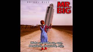 Watch Mr Big Wake Up video