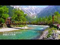 Kamikochi in fresh green is breathtakingly beautiful! Here are some standard courses.