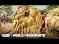 Can &quot;Golden Fiber&quot; From Swamp Reeds Replace Plastic? | World Wide Waste | Business Insider