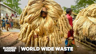 Can 'Golden Fiber' From Swamp Reeds Replace Plastic? | World Wide Waste | Business Insider