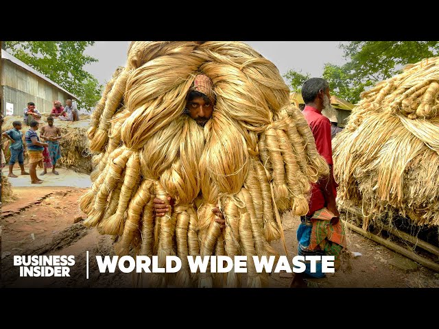 Can Golden Fiber From Swamp Reeds Replace Plastic? | World Wide Waste | Business Insider class=