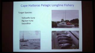 SoMAS - Using digital archival tags to learn about pilot whale foraging behavior